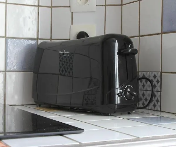 Le Grand Appart' Proche Commerces 弗莱尔